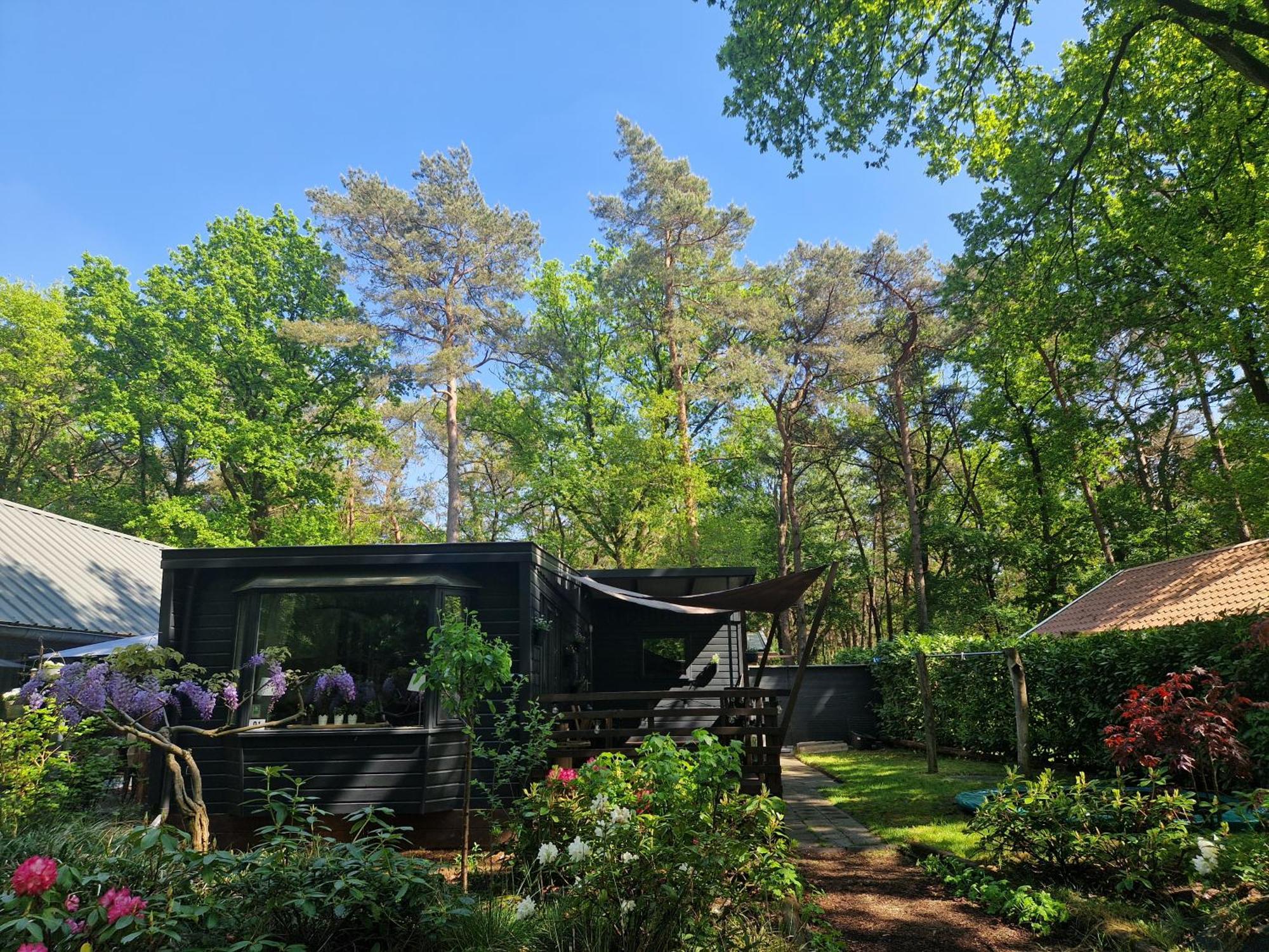 Heerlijk Huisje In Het Bos Op Chaletpark Kempenbos Diessen Luaran gambar
