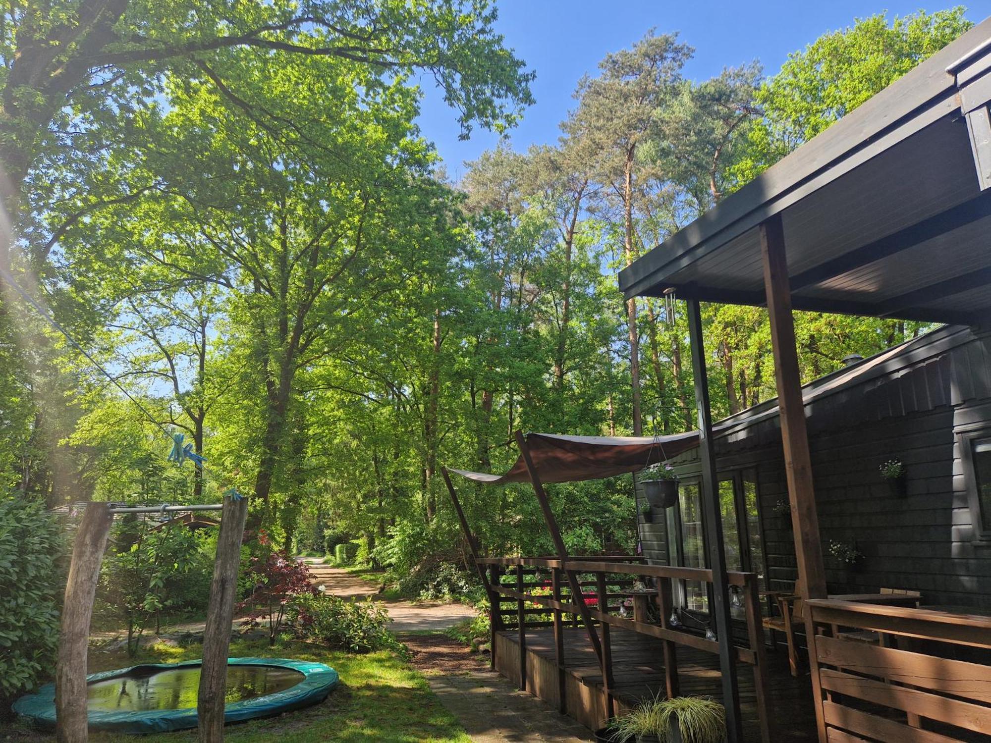 Heerlijk Huisje In Het Bos Op Chaletpark Kempenbos Diessen Luaran gambar